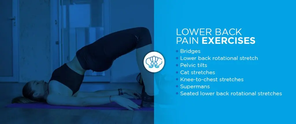 https://www.nyspine.com/wp-content/uploads/2022/02/08-Lower-Back-Pain-Exercises-min-1024x432-1.png