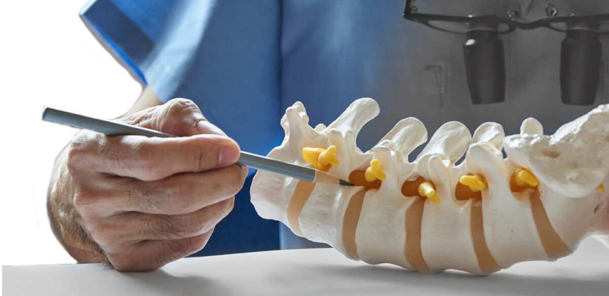 Doctor holding pen while examining spine model