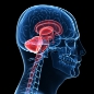 Los servicios de columna vertebral del New York Spine Institute pueden tratar el dolor cervical/de cuello