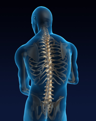 Animated image showing the skeleton of a human back