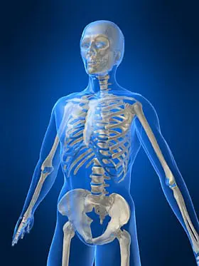 Animated image showing human skeleton