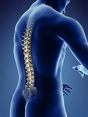 Animated image showing human spine