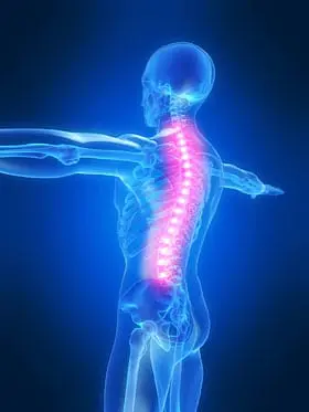 Lit up animated image of human spine