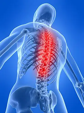 Animated image with human spine highlighted