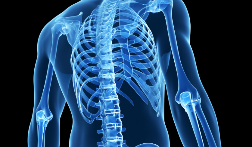 Animated x-ray image of human back